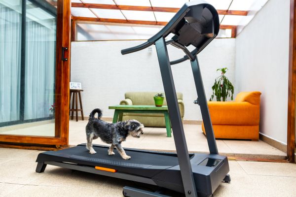 Cost of Treadmill Installation in Iowa City