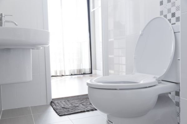Cost of Toilet Seat Installation in Iowa City