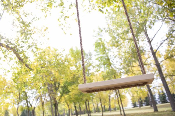 Cost of Swing Installation in Iowa City
