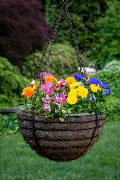 Cost of Hanging Basket Installation in Iowa City