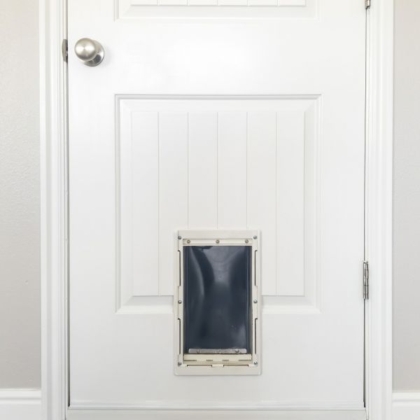 Cost of Pet Door Repair in Iowa City