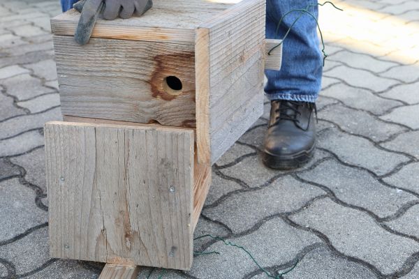 Cost of Birdhouse Mounting in Iowa City