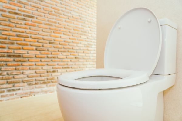 Cost of Toilet Seat Repair in Iowa City