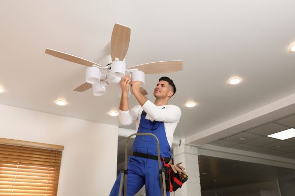 Cost of Ceiling Fan Bulb Replacement in Iowa City